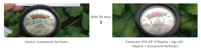 Acidic soil conditioner PH-UP