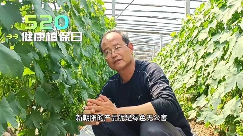 520健康植保日——擁抱綠色農業，我們在行動