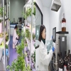 生物農藥