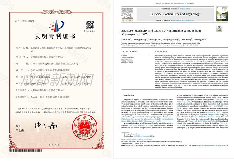 新突破|新朝陽在生物技術防治稻瘟病研究方面取得新進展